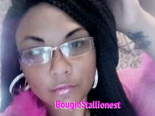 BougieStallionest Porn Loverz