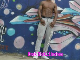 Brak_Dick11inches