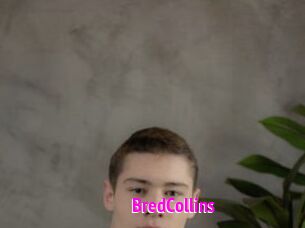 BredCollins Porn Loverz