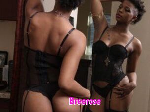 Breerose Porn Loverz