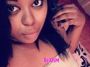 BriDsM
