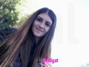Bridgat