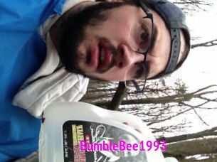 BumbleBee1993