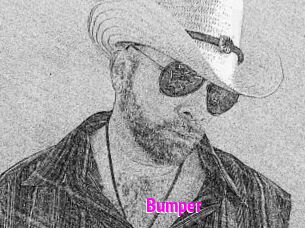 Bumper