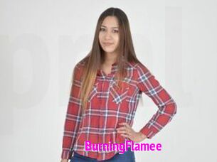 BurningFlamee