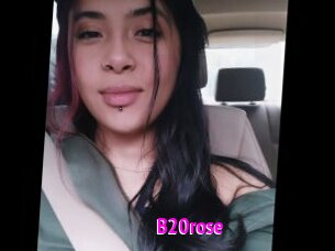 B20rose
