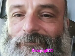 Bearpig001