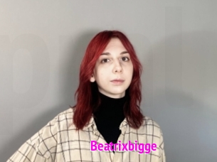 Beatrixbigge