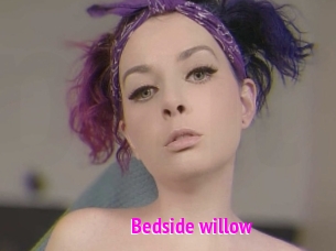 Bedside_willow