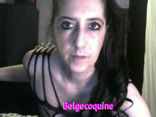 Belgecoquine