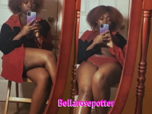 Bellarosepotter
