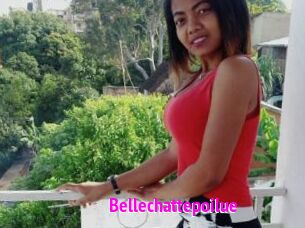 Bellechattepoilue