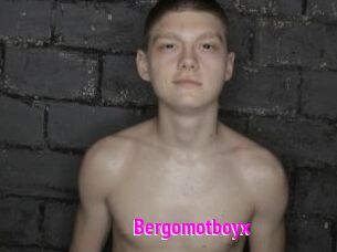 Bergomotboyx