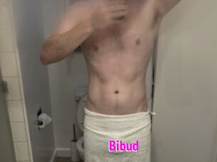 Bibud
