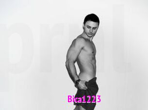 Bica1223