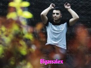 Bigassalex