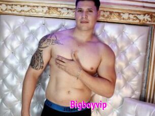 Bigboyvip
