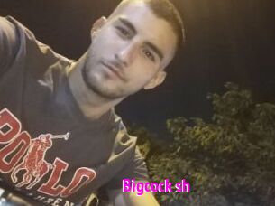Bigcock_sh