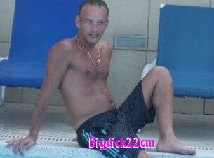 Bigdick22cm
