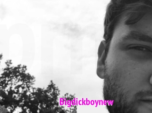 Bigdickboynew