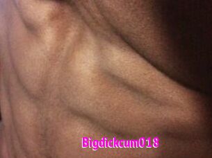 Bigdickcum018