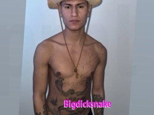 bigdicksnake Porn Loverz