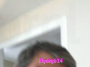 Bigdog614