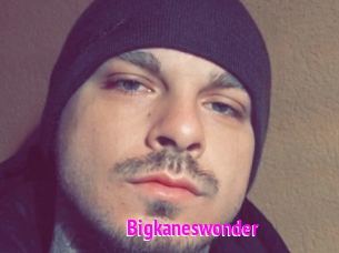 Bigkaneswonder
