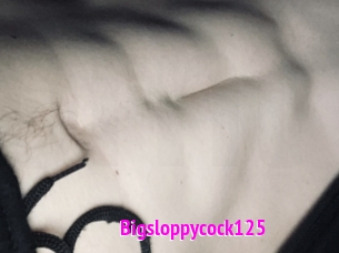 Bigsloppycock125