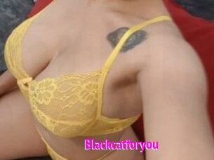 Blackcatforyou