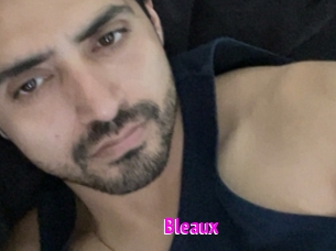 Bleaux