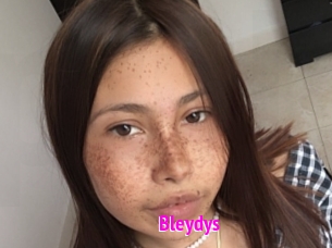 Bleydys