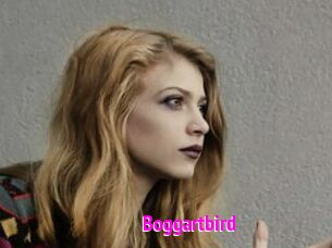 Boggartbird
