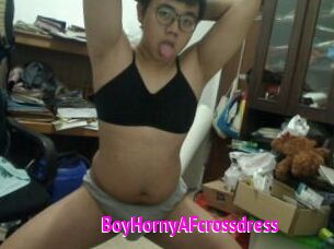 BoyHornyAFcrossdress