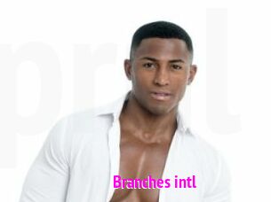 Branches_intl