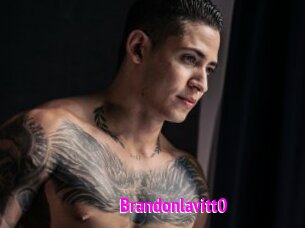 Brandonlavitt0