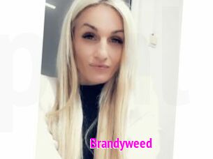 Brandyweed