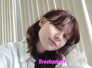 Breebaskett