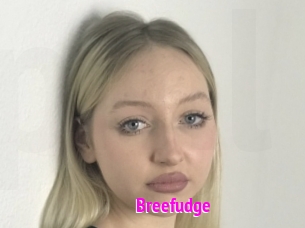 Breefudge