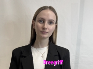 Breegriff