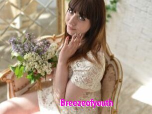 Breezeofyouth