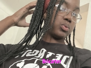 bricarter Porn Loverz