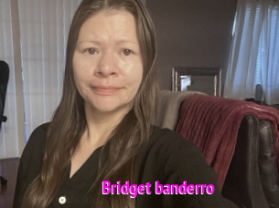 Bridget_banderro