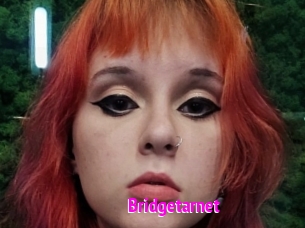 Bridgetarnet