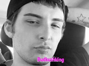Budkushking