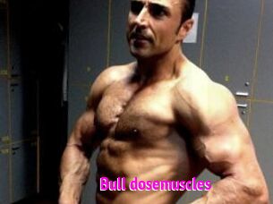 Bull_dosemuscles