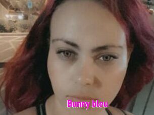 Bunny_bleu