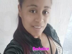 Bushalice