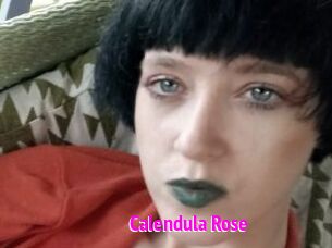 Calendula_Rose