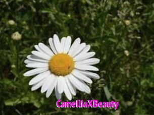 Camellia_XBeauty